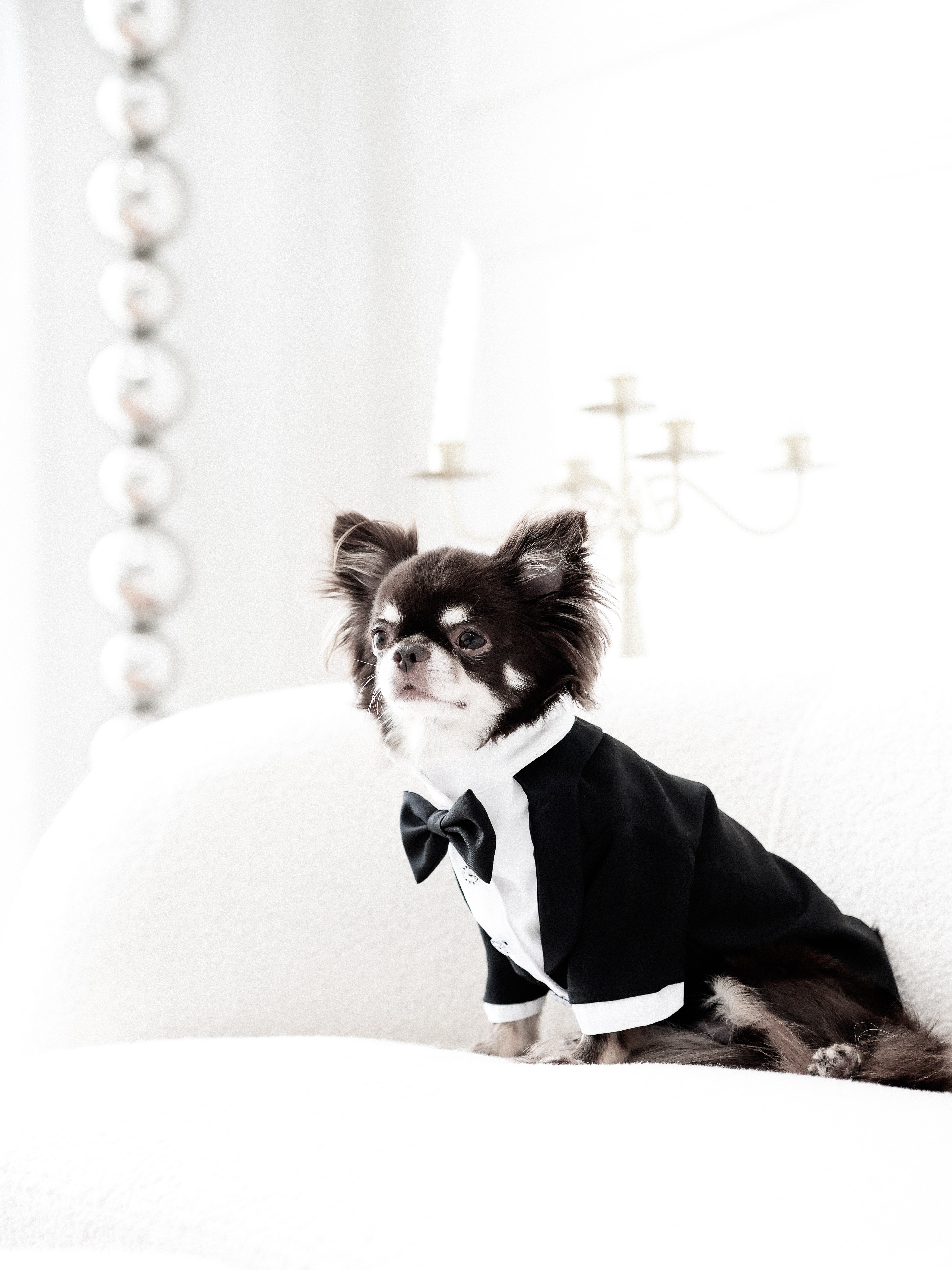 Onyx Tuxedo Jacket