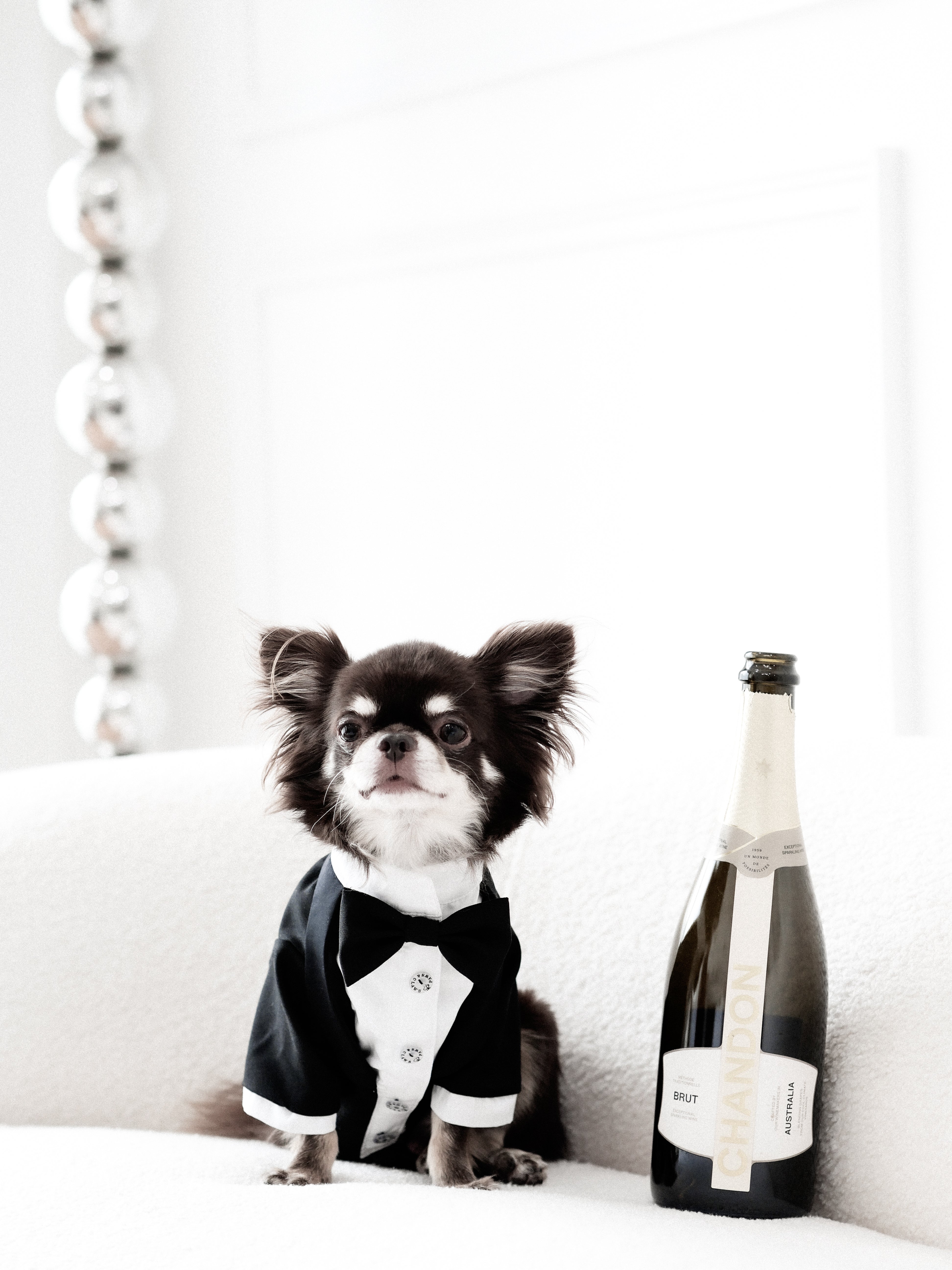 Onyx Tuxedo Jacket