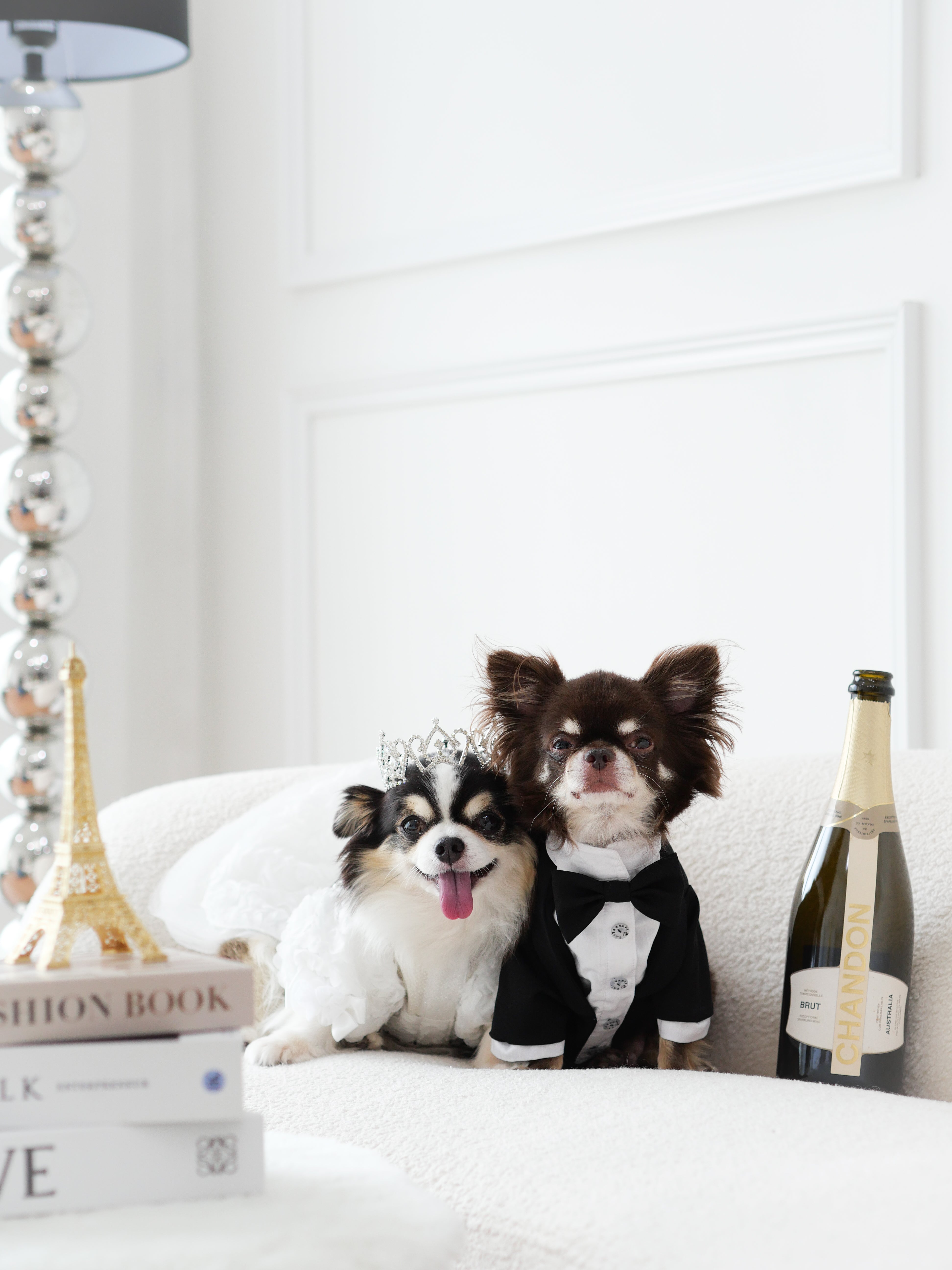 Onyx Tuxedo Jacket