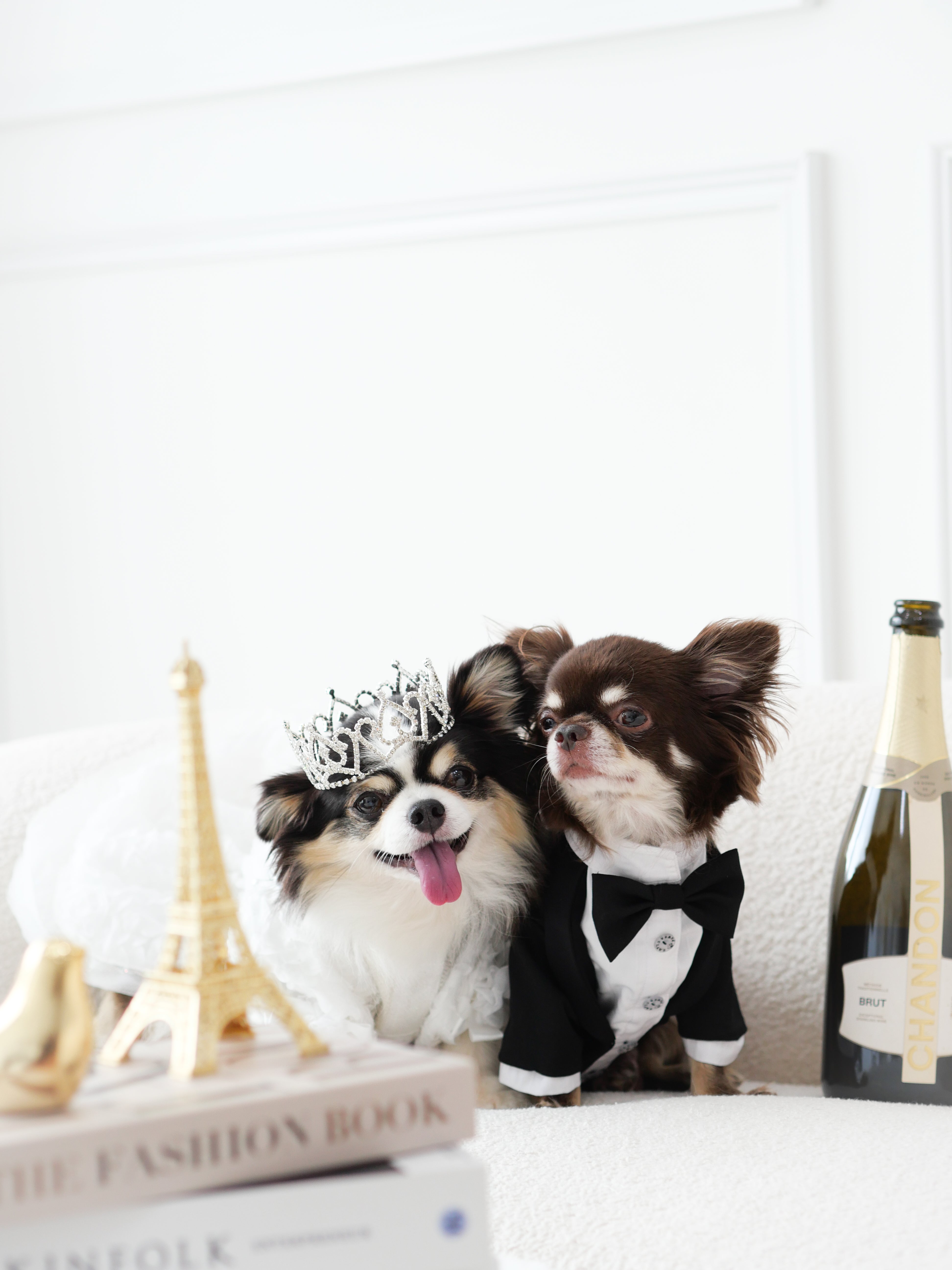Onyx Tuxedo Jacket