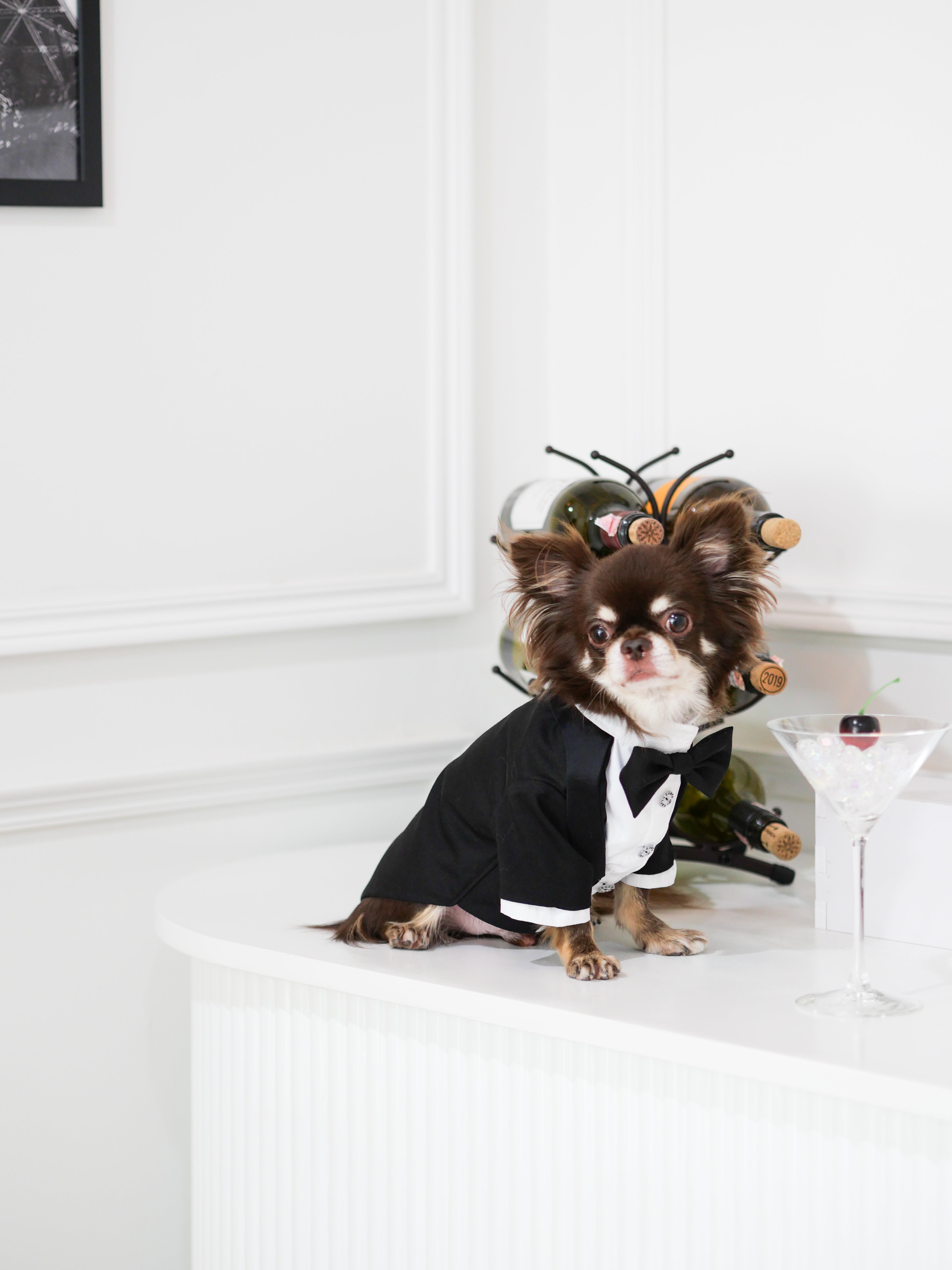 Onyx Tuxedo Jacket