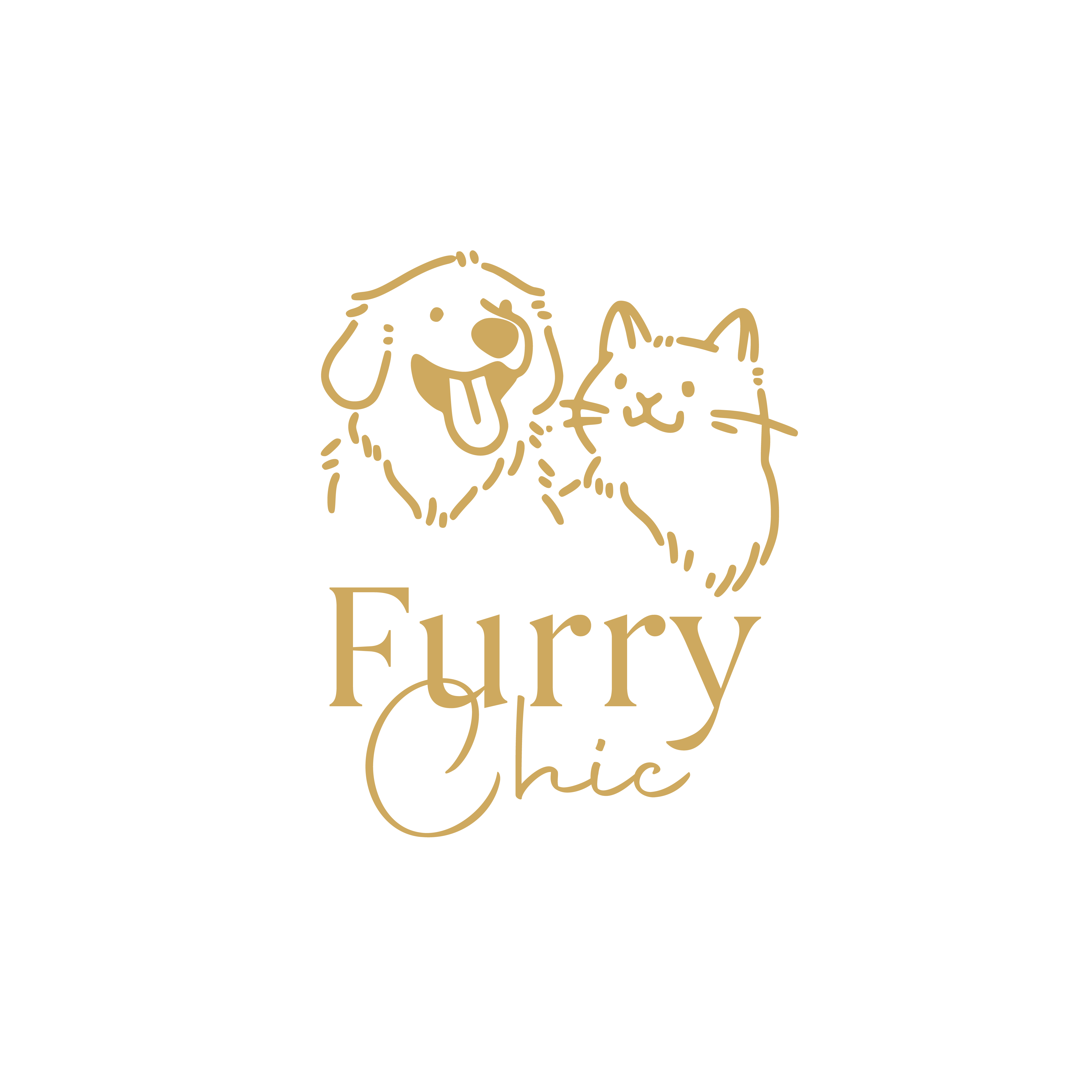 Furry Chic
